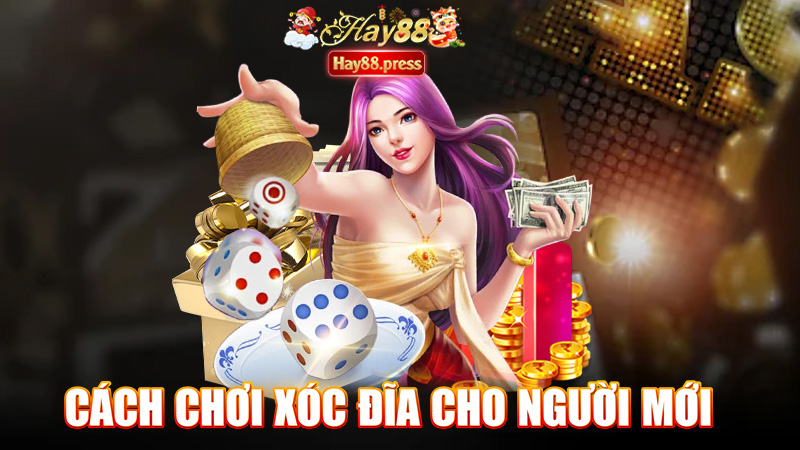 Cách chơi xóc đĩa cho người mới mà vẫn thắng nhiều tiền