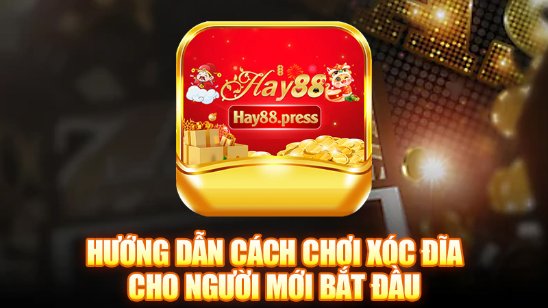 Hướng dẫn cách chơi xóc đĩa cho người mới bắt đầu