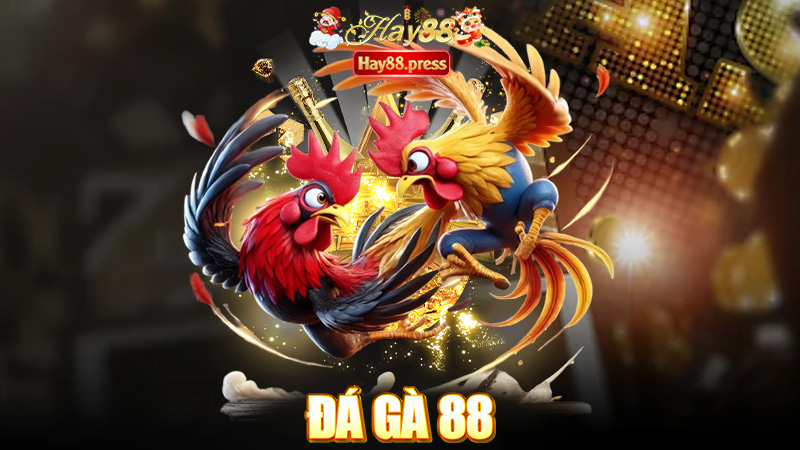 Đá Gà 88 - Cá độ đá gà trực tiếp 2025